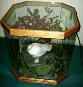 PTARMIGAN3.25.2