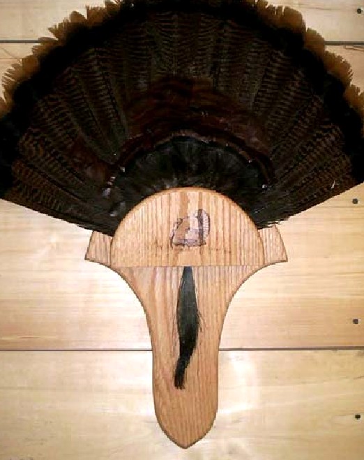 1.17.05turkeypanel