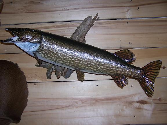100_3749a