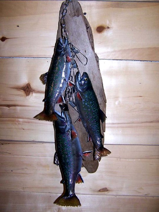 a12006-brooktrout5a