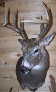deerSSHD