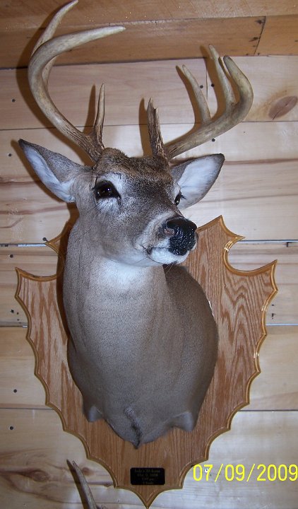 deerSS10