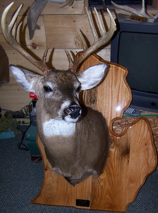 deerSS22