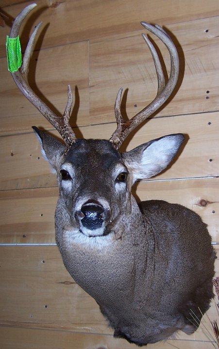 deerSS30