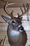 deerSS21