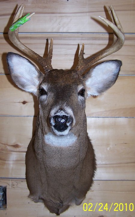 deerSU13