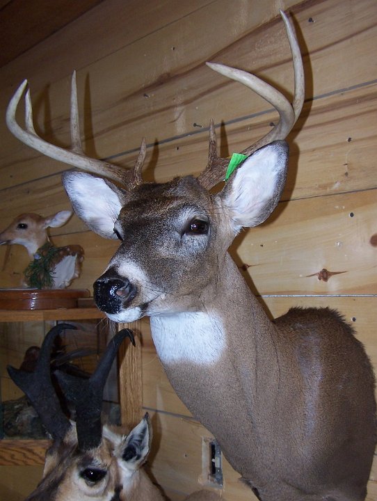deerSU5