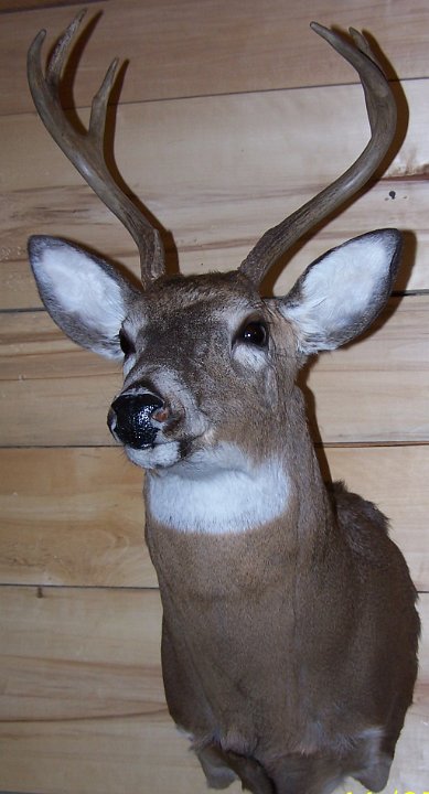 deerSU9