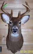 deerSU13