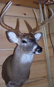 deerSU2