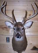 deerSU7