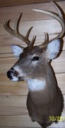 deerSU8