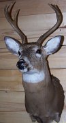 deerSU9