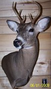 deerUPPED